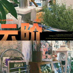 在鹤岗：在十八线小城开独立书店？这里有一份“劝退”指南