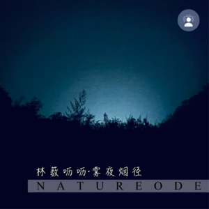 林薮呖呖·雾幕烟径