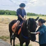 小宝r
