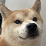 Luo_vuz4