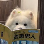 段瓦