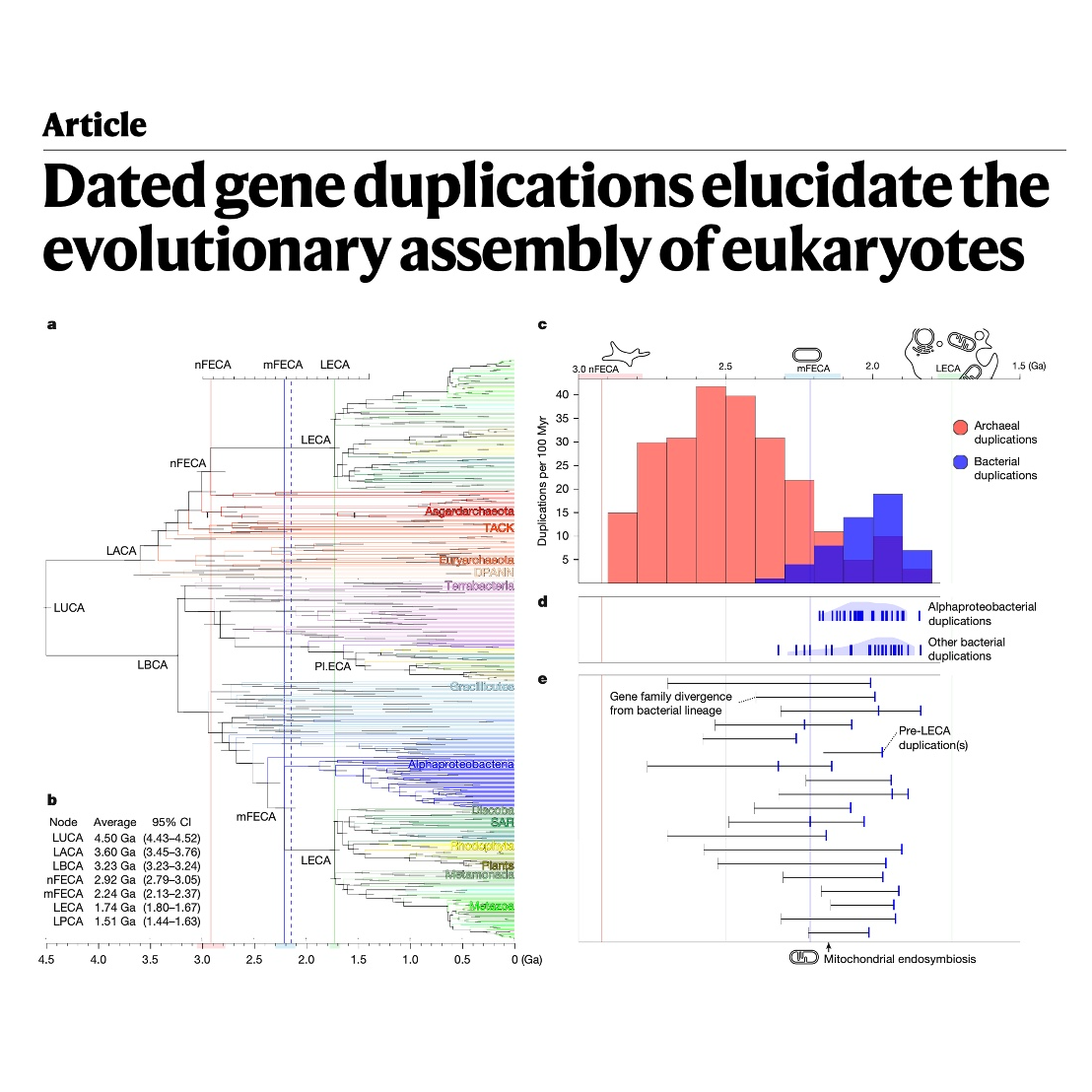 336-基因重复定年解析真核生物演化
