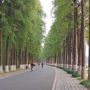 12.大四生义工之旅：温暖际遇一箩筐，给青春添笔新花样。