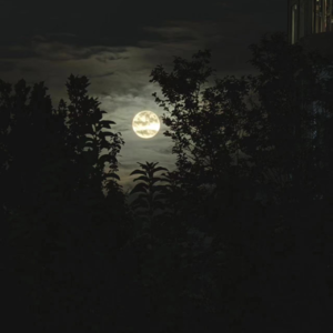 笑说东西053｜不借助仪器，还能自信的鉴赏宝石吗?