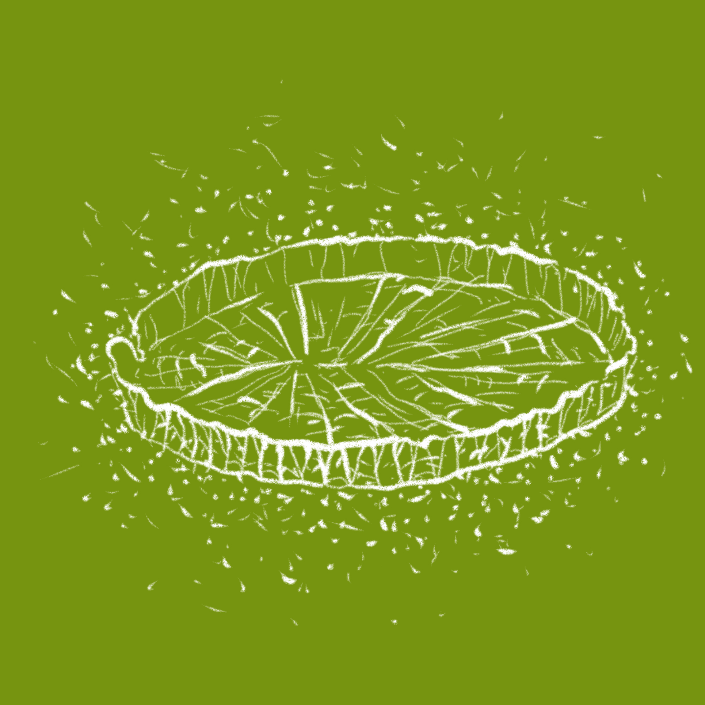 EP10【奥运专题】植物界的花样游泳选手 episode artwork