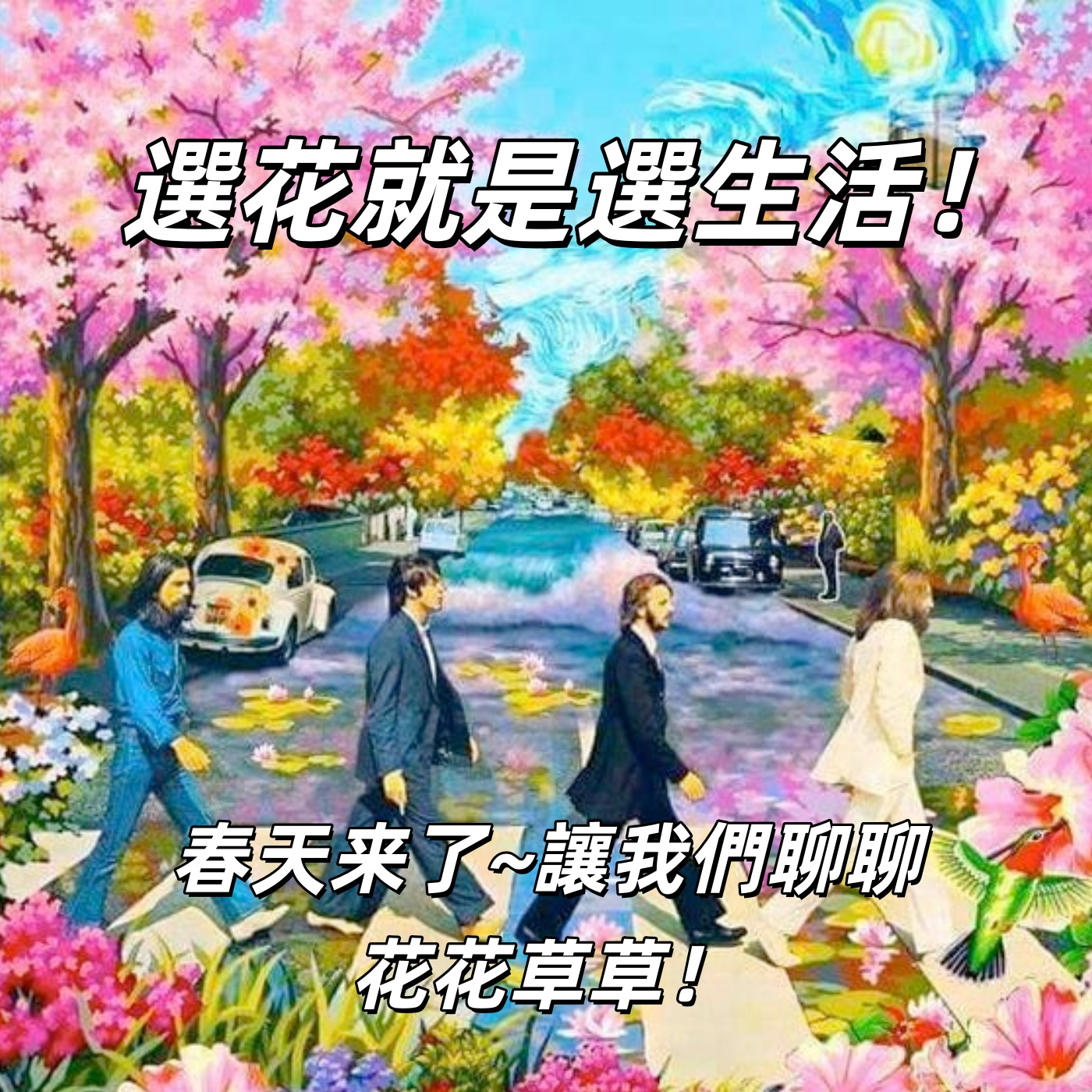 选花就是选生活，春天了！让我们聊聊花花草草！| 深夜电话10-自娱自乐 episode artwork