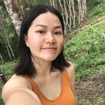 大灯覆盖过