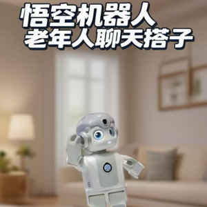 第575集 悟空机器人 老年聊天搭子