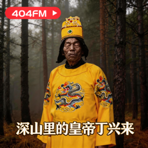 谜案：深山里的皇帝丁兴来 VOL134