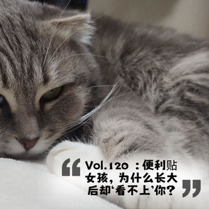 Vol.120 便利贴女孩，为什么长大后却“看不上”你？