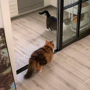 普通人的租房血泪史 家居博主的家是真实存在的吗?