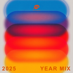 2025 💠 YEARMIX 年度荟萃