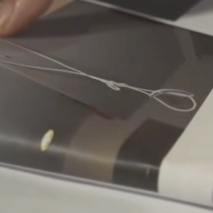 62.丢下爱犬消失的富家女，丧命在疑点重重的公寓房，中元节抓凶嫌