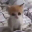 亿卬