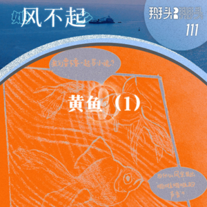 111：【她乡风不起】09黄鱼（1）