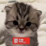 倘若这爱无声