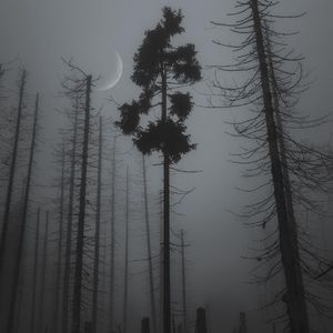 podcaster-avatar