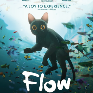 新一届奥斯卡最佳动画长片预测！史上最难抉择！是《Flow》还是《Inside out 2》？