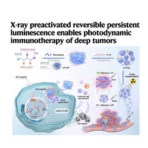 1632-X-ray Preactivated Nanoparticles for Deep Tumor