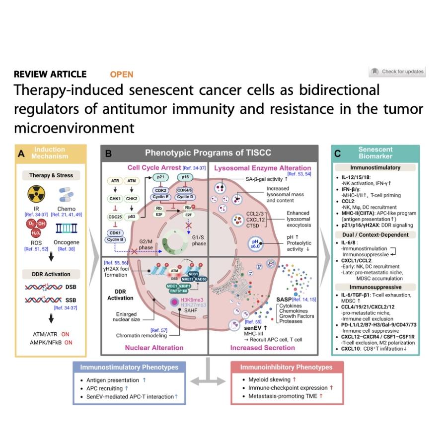 1448-Senescent Cancer Cells in Antitumor Immunity episode artwork