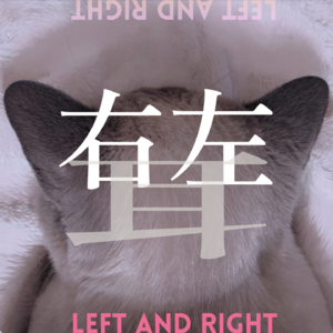 Vol.3｜谁敢信这些都已经是十年前的东西了？