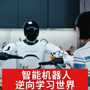 第502集 智能机器人逆向学习世界