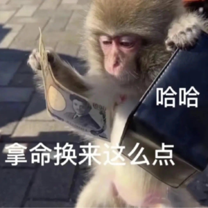 100 m豆最刚同事