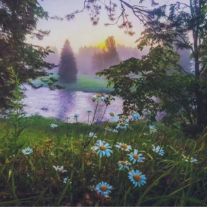 VOL187.凡事都有偶然的凑巧，结果却又如宿命的必然。