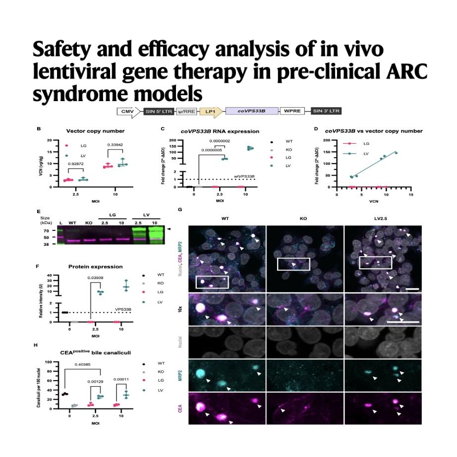 1285-Lentiviral Gene Therapy for ARC Syndrome Treatment episode artwork