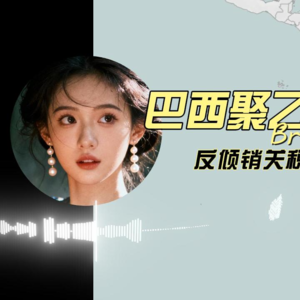 巴西聚乙烯市场：反倾销关税升级下的机遇与挑战