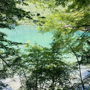 podcaster-avatar