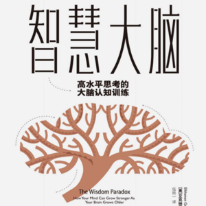 智慧大脑_高水平思考的大脑认知训练