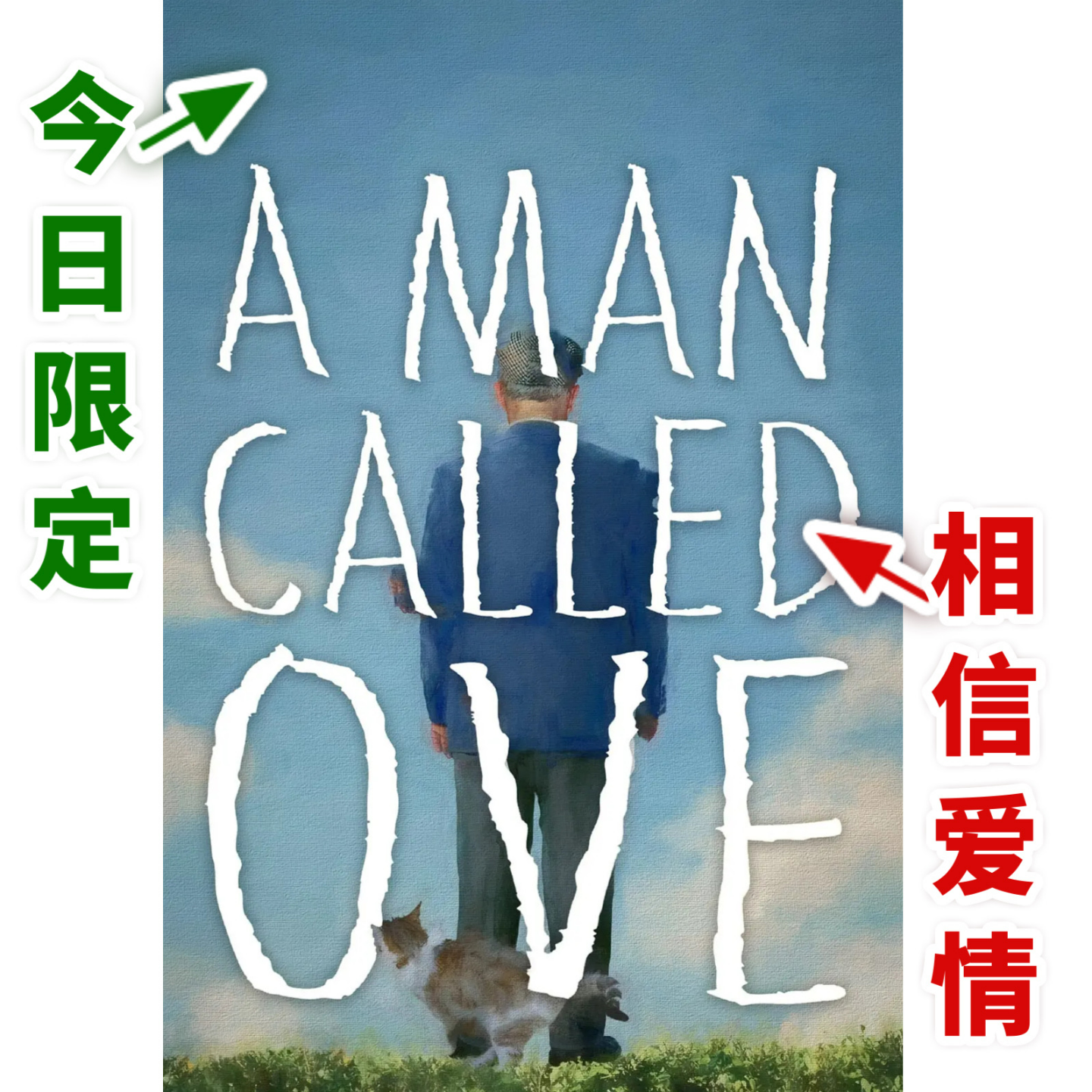 Vol.36 《一个叫欧维的男人决定去死》：死亡可以不是遗憾和悲伤 episode artwork