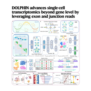 094-DOLPHIN: Using RNA splicing to enhance ScRNA analysis