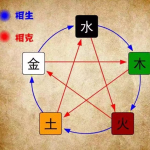 《论甲木天干的阴阳特性》