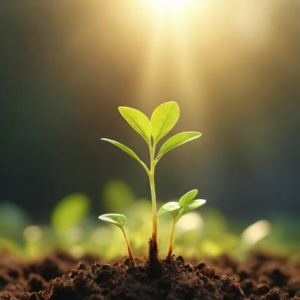 EP017 《微习惯》|用不可能失败的策略,轻松推动飞轮第一转