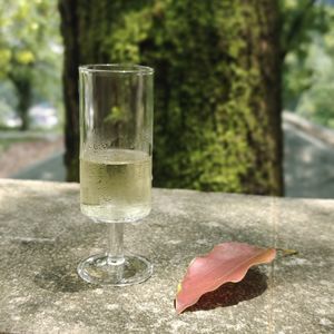 podcaster-avatar