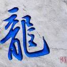 小猪发吉兆