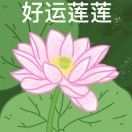 梓润吖