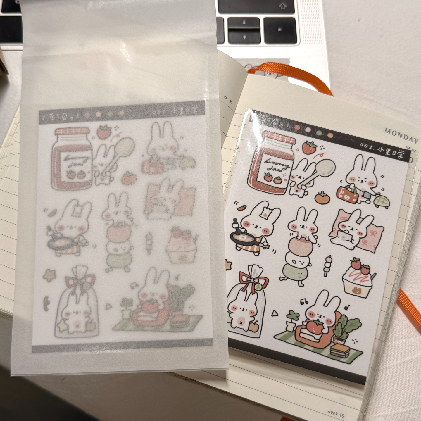 激活行动力的两把钥匙 📅 Feb.8 episode artwork