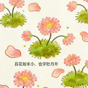 37.是的!我们是二本学生！被时代遮蔽，却从未停止生长