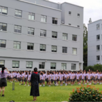 24.雨林仙人掌：过剩环境下人类的“退化“现象
