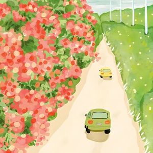 上坡努力跑，下坡开心走，起伏中活出笃定！