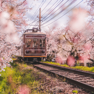 T039 细读《昭和解体》下：国铁改革派的奋斗，国铁的拆分与民营化，告别五五年体制