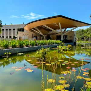 165 美国景观设计师 劳里.奥林