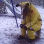 要不你一会再说