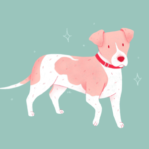 6、主动基金到底还有没有前途？