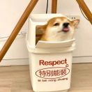 心动不如行动