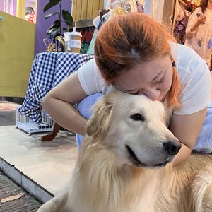 灰灰灰灰要起飞