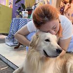 灰灰灰灰要起飞